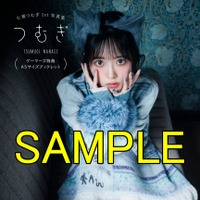 ゲーマーズ共通特典：A5サイズ8Pブックレット