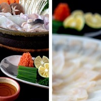 とらふぐの刺身やあらなどを詰め合わせた「ふぐ鍋セット」