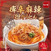 「痺辛麻辣担々うどん」の商品ビジュアル