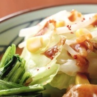 キャベツやもやしなどの野菜