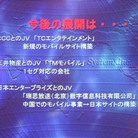 今後の展開：ジョイントベンチャー