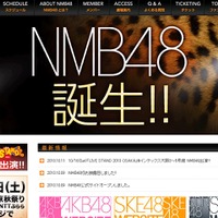 ロゴが豹柄のNMB48公式サイト