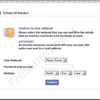 図8：Facebookを装いパスワードの入力を促すフィッシングサイト 