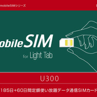 b-mobileSIM U300 8ヶ月（245日間）パッケージ