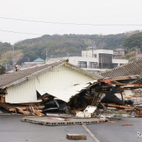 東日本大震災 田代島 電柱の一番上で津波に耐えた 東日本大震災 田代島 電柱の一番上で津波に耐えた