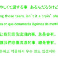 日本語、英語、スペイン語、中国語、台湾語、韓国語という5言語で歌詞も表示。ダウンロードもできる