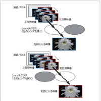図2．フレームシーケンシャル方式̶ 液晶パネルから交互に時分割で出力した映像を、シャッタグラスの左右のレンズを交互に開閉することで、映像を左右の目に分離し，立体視を実現する。