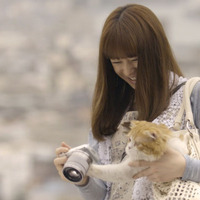 北川景子が愛猫に笑顔……新CM＆特別映像を先行公開 画像