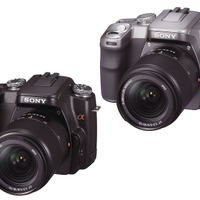 　ソニーは、デジタル一眼レフカメラ「α」シリーズの第一弾として「α100」を7月21日に発売すると発表した。