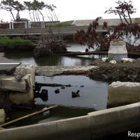 県道58号線。七ヶ浜町菖蒲田浜付近（7月下旬）
