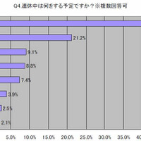 連休中は何をする予定ですか？