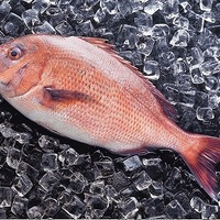 植松と日本IBM、Facebookページにて情報追跡できる養殖魚を販売 画像