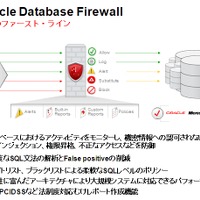 日本オラクル、不正なSQLコマンドを遮断する「Oracle Database Firewall」提供開始 画像