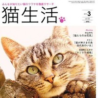 【本日発売の雑誌】猫にまつわるウワサの真相……「猫生活」 画像