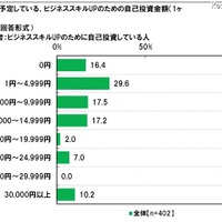 今後予定している自己投資金額