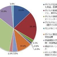 子ども手当の具体的な使途