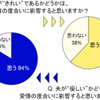 妻が “きれい”であるかどうかは、愛情の度合いに影響すると思いますか？