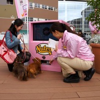 “小型犬専用”の自動販売機、ららぽーと豊洲に登場！……ワンちゃん達の反応は？ 