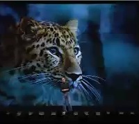 2006年のMac OS X 10.5「Leopard」のプレゼン