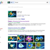 これまでの画像検索。画像が「flower」と認識されている
