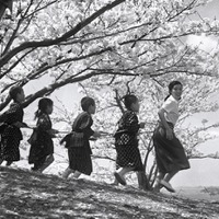 「二十四の瞳」  監督：木下惠介　(c)1954 松竹株式会社