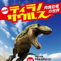 特別展「ティラノサウルス-肉食恐竜の世界-」千葉中央博物館 画像