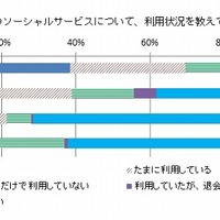 Facebook以外のソーシャルサービスの利用状況