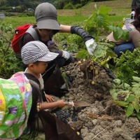 親子の食育イベント、野菜作り体験ツアーをホテル日航東京が開催 画像