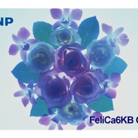「次世代FeliCa ICチップ」搭載のICカード