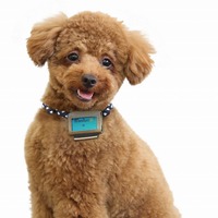 富士通、動作推定技術を用いた愛犬歩数計「わんダント」発表……クラウド型でサービス提供 画像