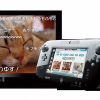 Wii U実機イメージ