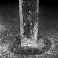 二川幸夫「石川県輪島市町野町、時国宏家の大黒柱」1950年代