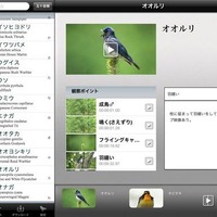 iPadで野鳥観察を楽しむ「Smart Birding 野鳥映像アーカイブス」発売 画像