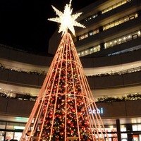 広場にはクリスマスツリー風イルミネ