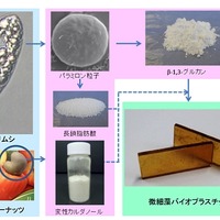 ミドリムシ/カシューナッツ殻から微細藻バイオプラスチックへの製造工程