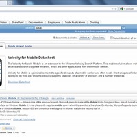 「IBM InfoSphere Data Explorer V8.2」の画面例