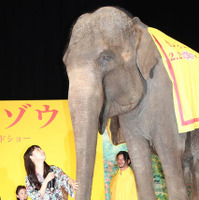 『きいろいゾウ』公開直前プレミア（宮﨑あおい）