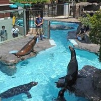 【春休み】動物園・水族園でイベント満載 画像