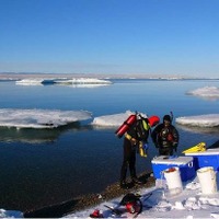 北極での採集。水温は約1度