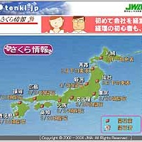 花見シーズン到来は観測史上2番目の早さに〜tenki.jpがさくら情報スタート 画像
