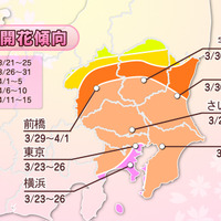 関東地方の2013年桜開花傾向