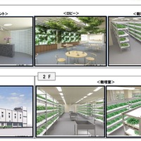 NTT西、水耕栽培によるレンタル農園「みえーるエコ畑」を開園 画像