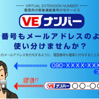 VEナンバー