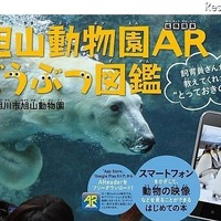 進化した図鑑「旭山動物園ARどうぶつ図鑑」出版……動画や3Dで動物をリアルに体感 画像