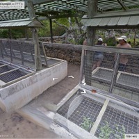 ガラパゴスゾウガメ繁殖センター