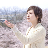 広末涼子主演『桜、ふたたびの加奈子』がDVD化！ 画像