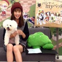 安田美沙子、結婚に意欲……交際相手への条件は「愛犬と仲良くしてくれること」 画像