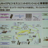 テレコムキャリア事業の展開イメージ