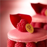 「ピエール・エルメ・パリ」で人気のケーキ「イスパハン」
