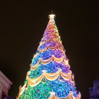 「世界一の光のツリー」